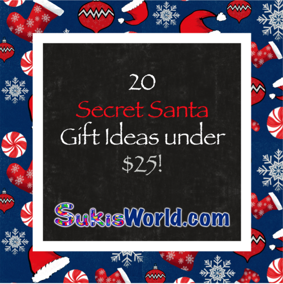 20 Secret Santa Gift Ideas under $25! - Suki’s World