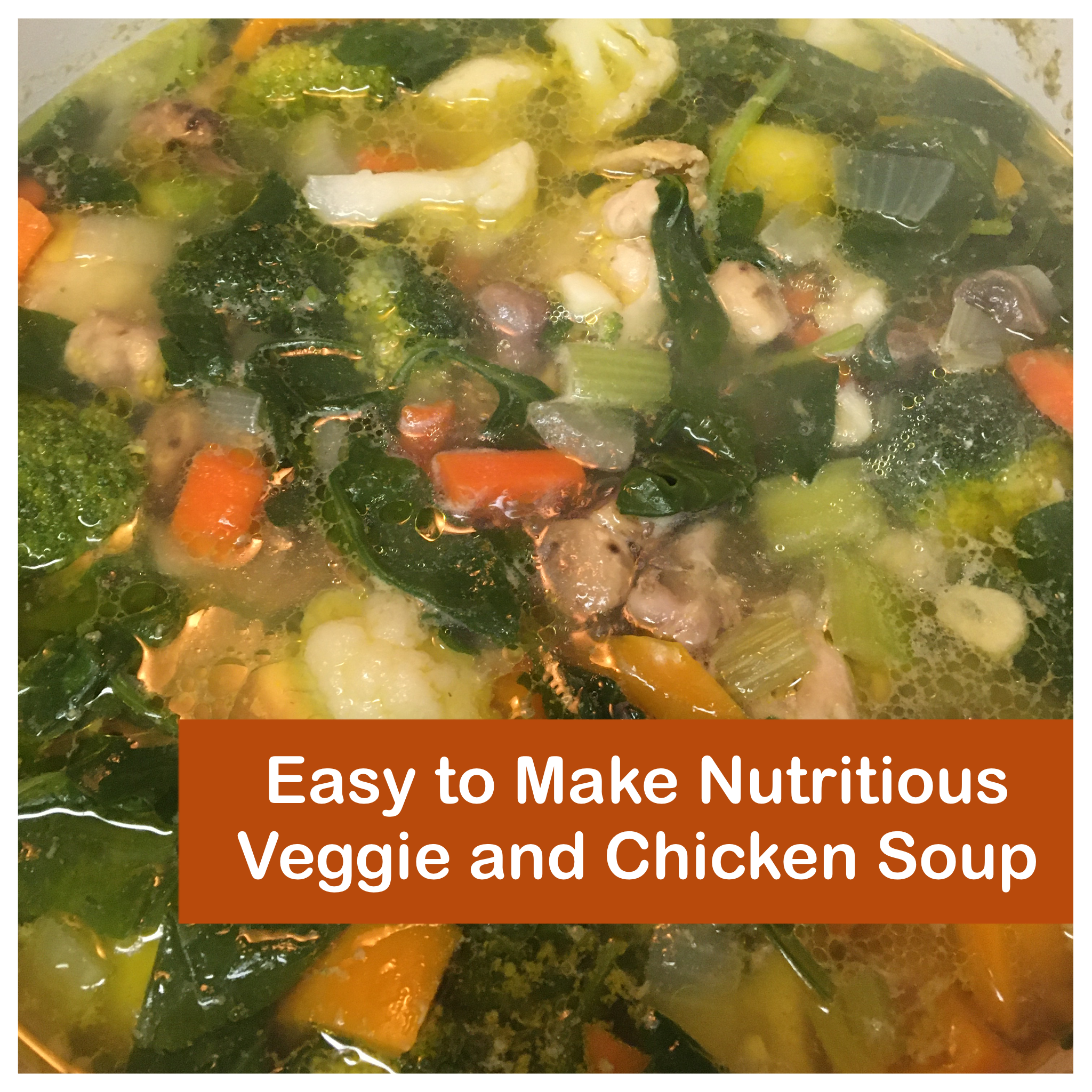 Easy to Make Nutritious Veggie and Chicken Soup