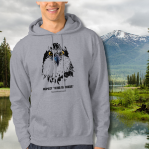 Apparel and Accessories